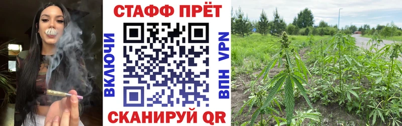 Купить наркоту Заволжье APVP  МЕТАМФЕТАМИН  ГАШ  Псилоцибиновые грибы  МЕФ  АМФЕТАМИН 