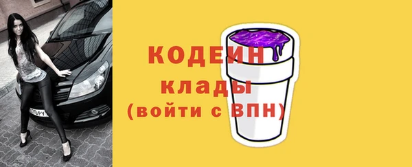 шишки Елабуга