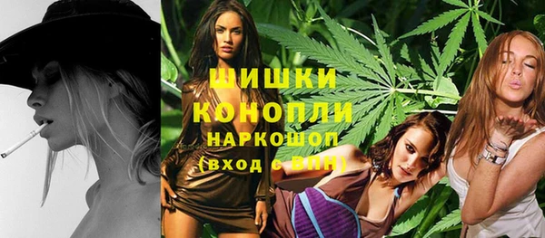 шишки Елабуга