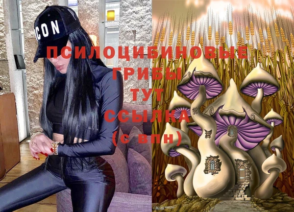 гашиш Ельня