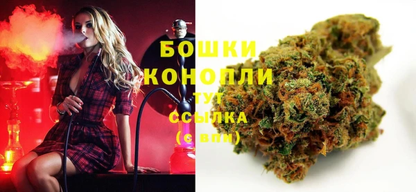 шишки Елабуга