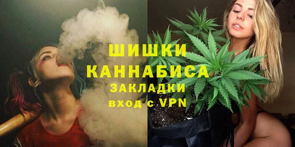 шишки Елабуга