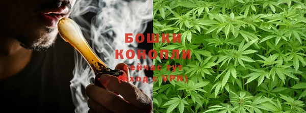 шишки Елабуга
