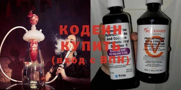 шишки Елабуга