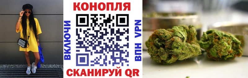 Бошки марихуана конопля Заволжье